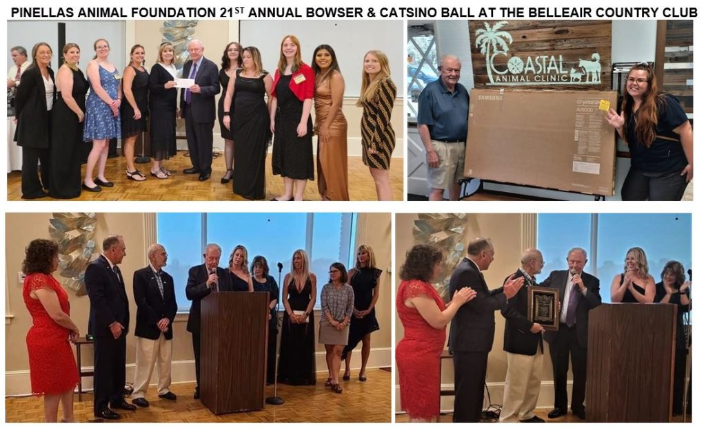 21st Annual BOWser and Catsino Ball and Auction | Oct 16, 2021